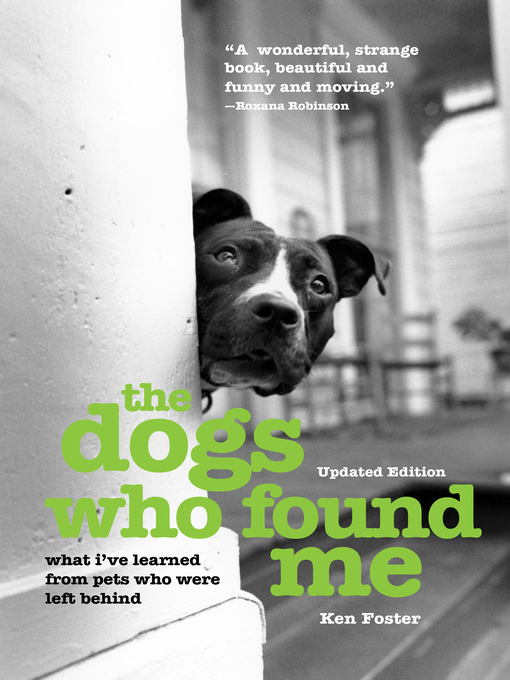 Cover image for The Dogs Who Found Me